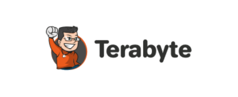 Agent of Brasil :  TERABYTE ATACADO E VAREJO DE PROD. DE INF LTDA